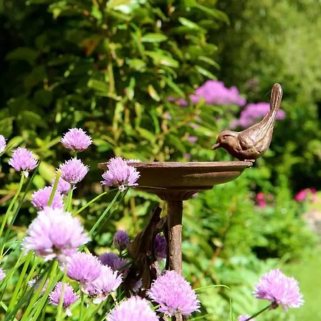 D'hotes Du Presbytere 3*