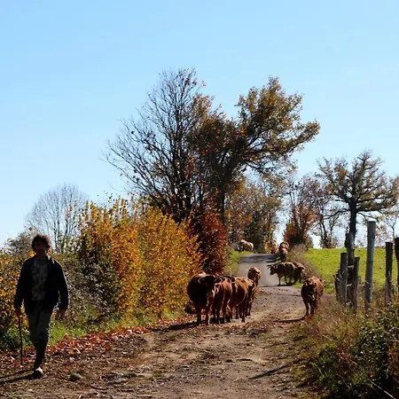 D'hotes Du Presbytere Гостевой дом La Bastide-l'Eveque