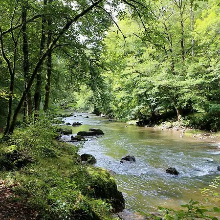 ゲストハウス D'hotes Du Presbytere La Bastide-l'Évêque