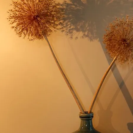 ゲストハウス D'hotes Du Presbytere 3*