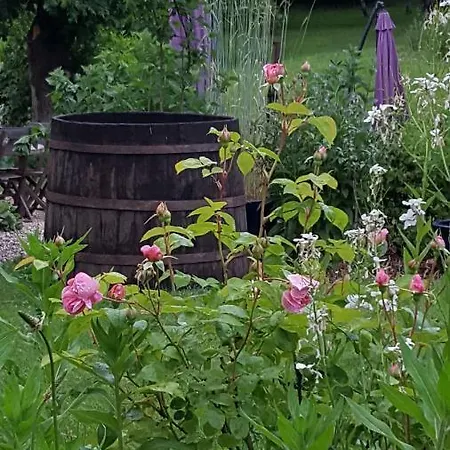 D'hotes Du Presbytere 3* La Bastide-l'Évêque