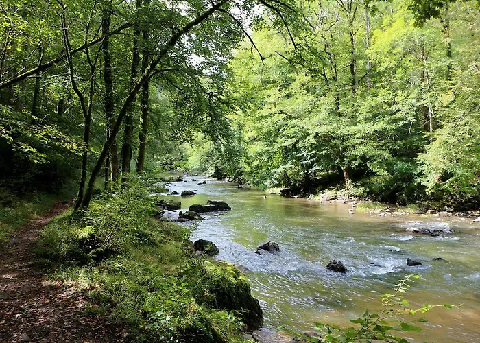 Πανσιόν D'hotes Du Presbytere La Bastide-l'Eveque